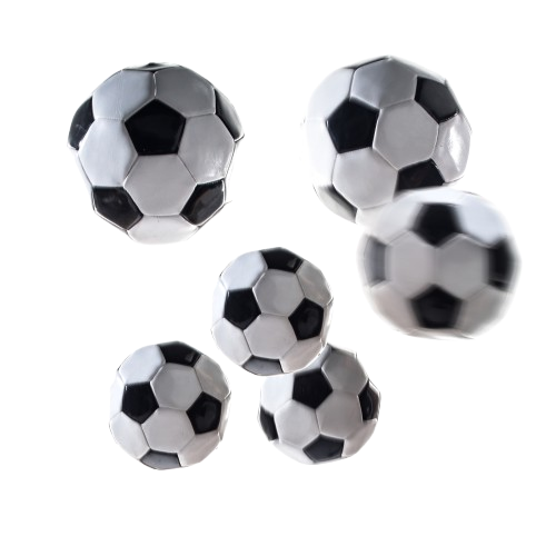 The football academy of choice in South Africa. Where academics meet soccer